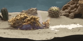 Behold, The Craziest Chemical Reaction You've Ever Seen | Cracked.com