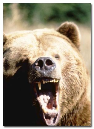 5 Simple Things You Won't Believe Are Recent Inventions