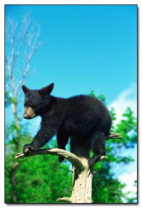 5 Simple Things You Won't Believe Are Recent Inventions