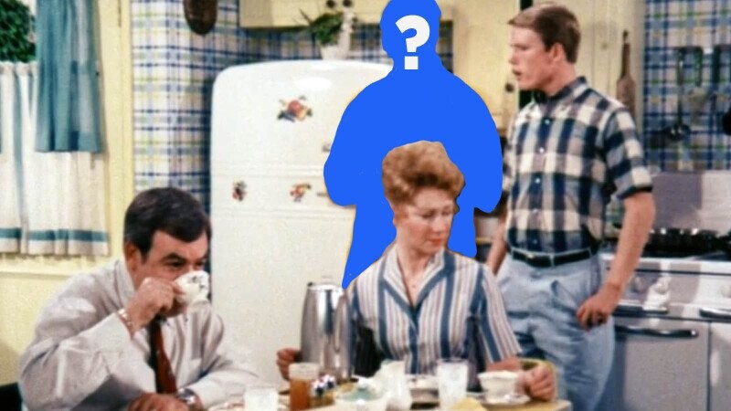 7 Sitcom Characters Who Disappeared Without A Trace