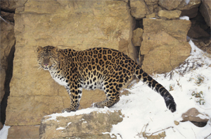 The Spookiest Ghost Story Ever Told