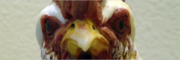 The 6 Creepiest Lies the Food Industry is Feeding You