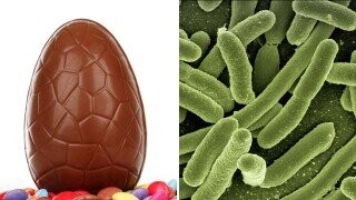 Just When We Thought Easter Candy Couldn't Get Worse: Salmonella