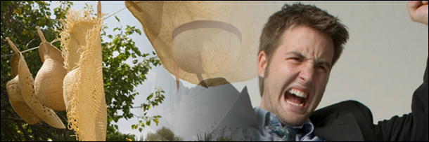 The 5 Most Embarrassing Things Angry Mobs Have Rioted Over