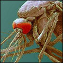 Cracked Round-Up: Too Tired to Work Edition