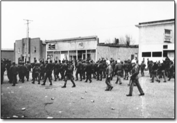 The 5 Most Embarrassing Things Angry Mobs Have Rioted Over