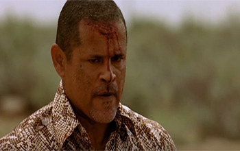 DO NOT USE (problem with hit counter)