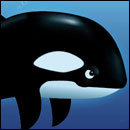 Killer Whale: Biggest Badass in the Animal Kingdom [CHART]