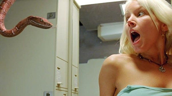 snakes and a woman on a plane