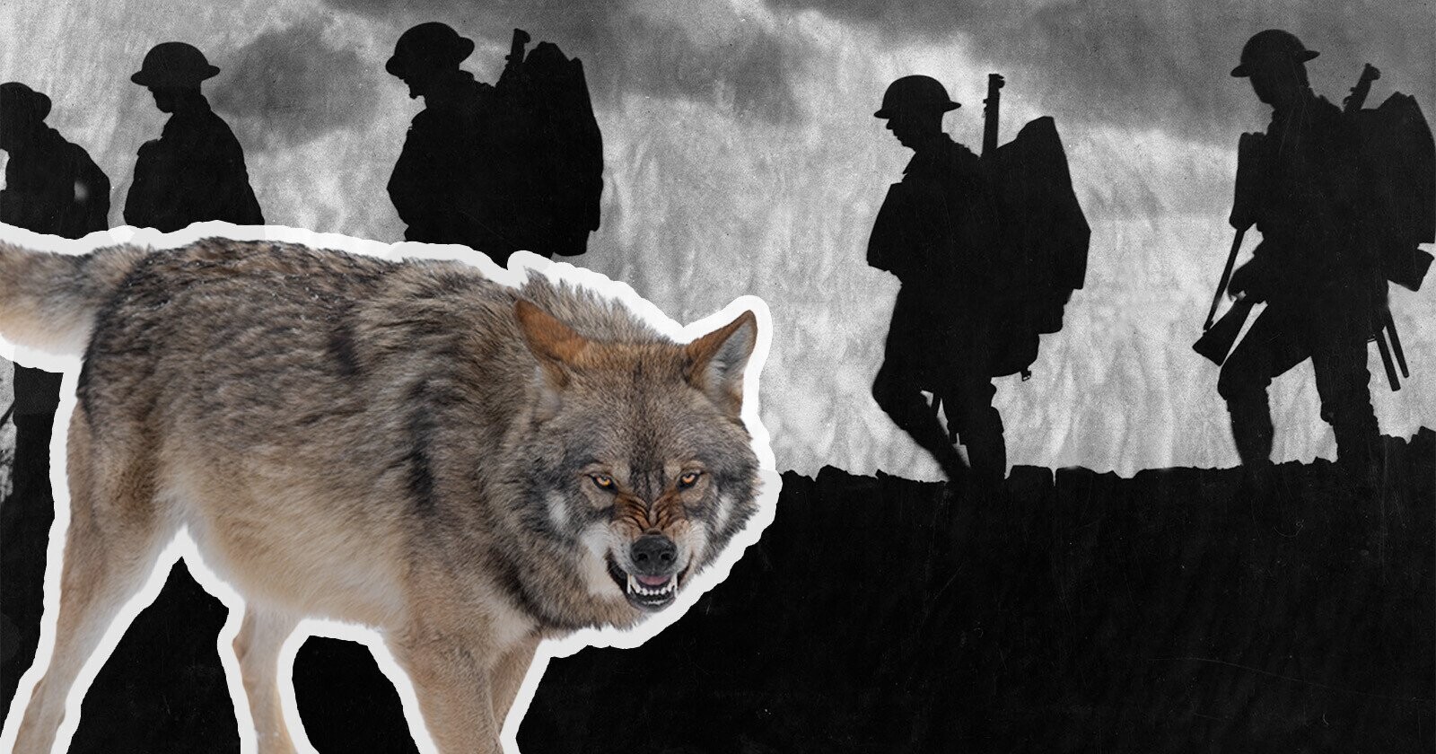 5 Odd Truces in the History of War