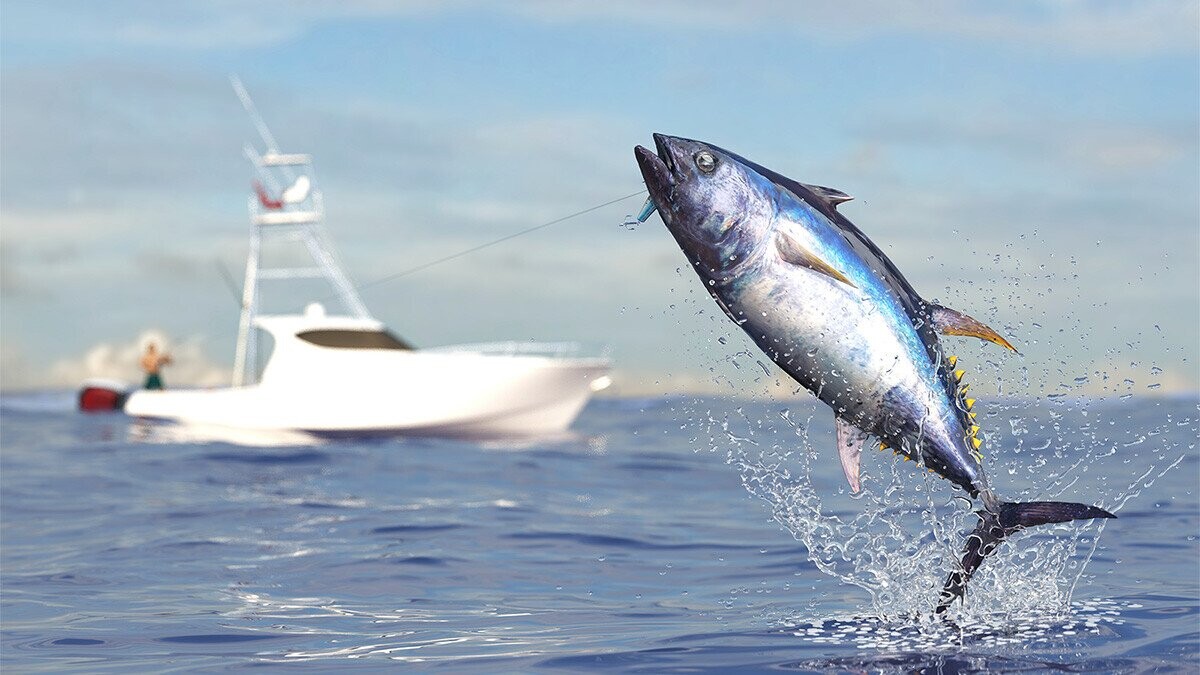 The Chunkiest Charlie: What’s the Biggest Tuna Ever Caught?