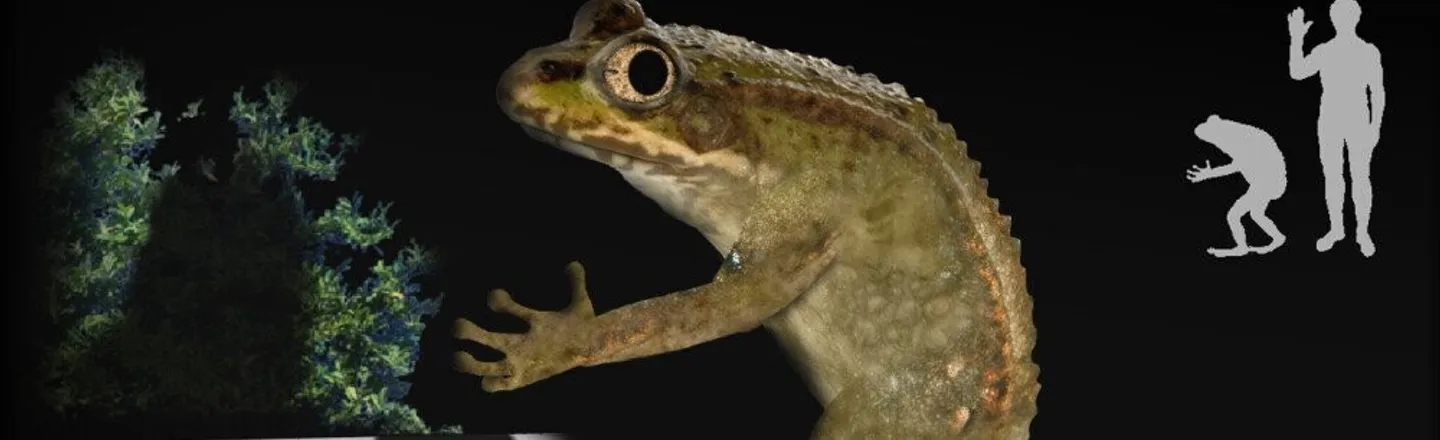 Meet The Lamest Cryptid: Ohio's Loveland Frog
