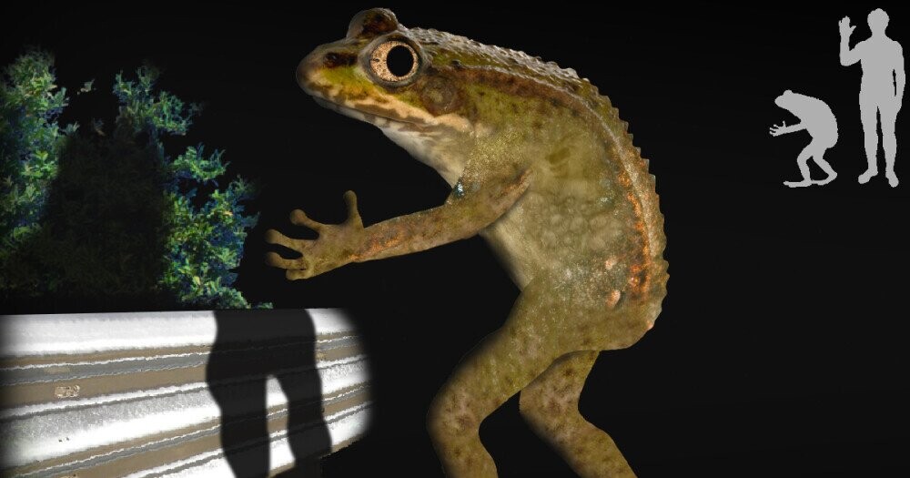 Meet The Lamest Cryptid Ohio S Loveland Frog Cracked Com