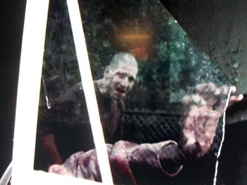 Shane reflected in glass