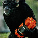 Cracked Round-Up: Aeronautic Edition