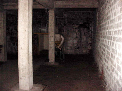 Why I'd Like to Fill the Oprah Shaped Hole in Your Life