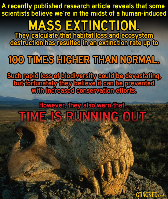 The 13 Most Insane Things Happening Right Now (6/30)