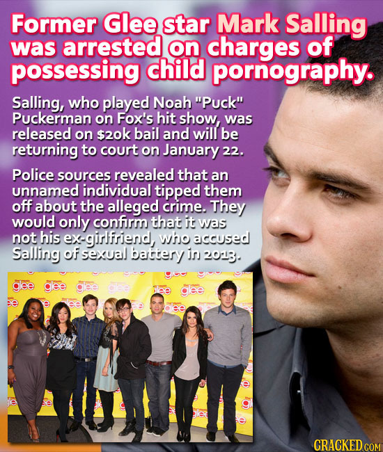 Former Glee star Mark Salling was arrested on charges of possessing child pornography. Salling, who played Noah Puck Puckerman on Fox's hit show, wa