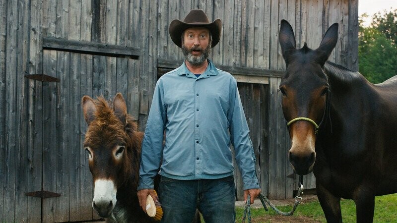 This Is What Tom Green Looks Like Now