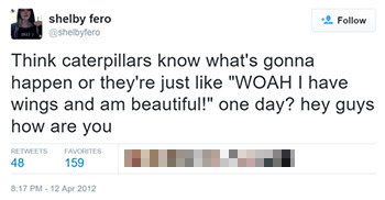 shelby fero Follow sheibylero Think caterpillars know what's gonna happen or they're just like WOAH I have wings and am beautiful! one day? hey guys