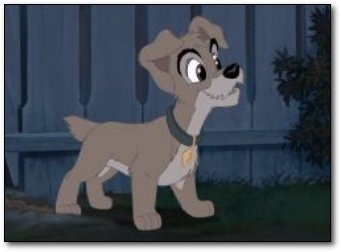 7 Things From America That Are Insanely Popular Overseas