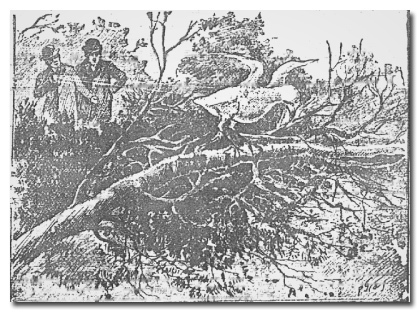 The 6 Most Important Sci-Fi Ideas (Were Invented by a Hack)