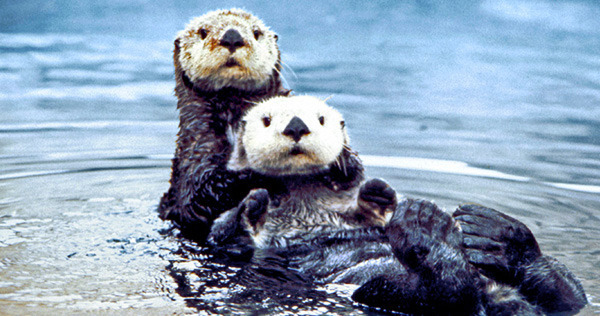 The Top 10 Cracked Posts You Shared Last Week - 4/19