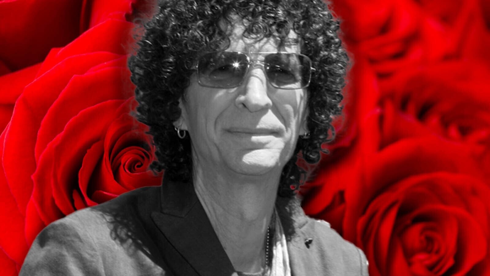 Here’s What Howard Stern Should Actually Do Next