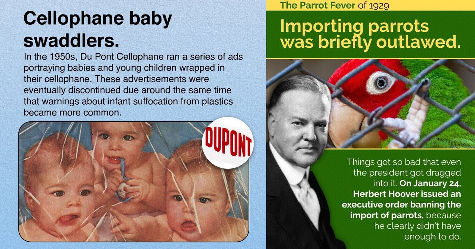 Babies Should Be Wrapped in Cellophane and 14 Other Surprising Facts We