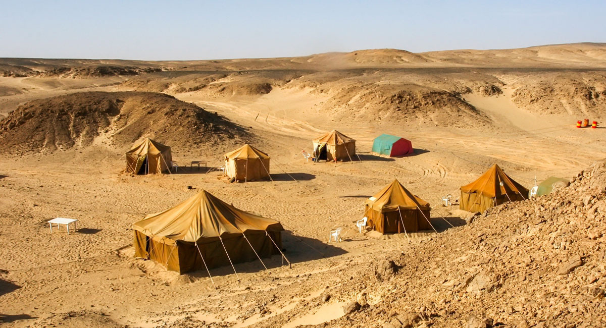 The Top 10 Cracked Posts You Shared Last Week - 4/19