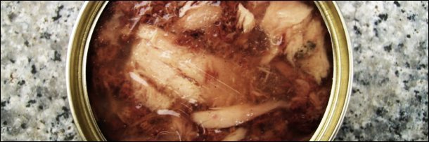 The Top 10 Cracked Posts You Shared Last Week - 4/19