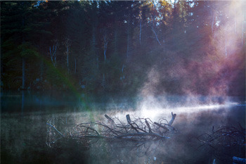 7 Completely Insane Sex Toy Designs