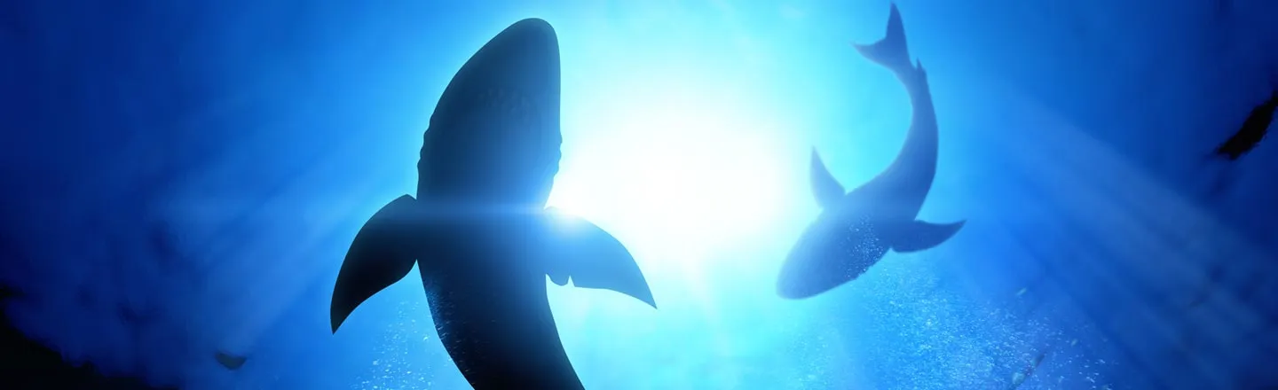 These 400-Year-Old Sharks Are Creepy As Hell
