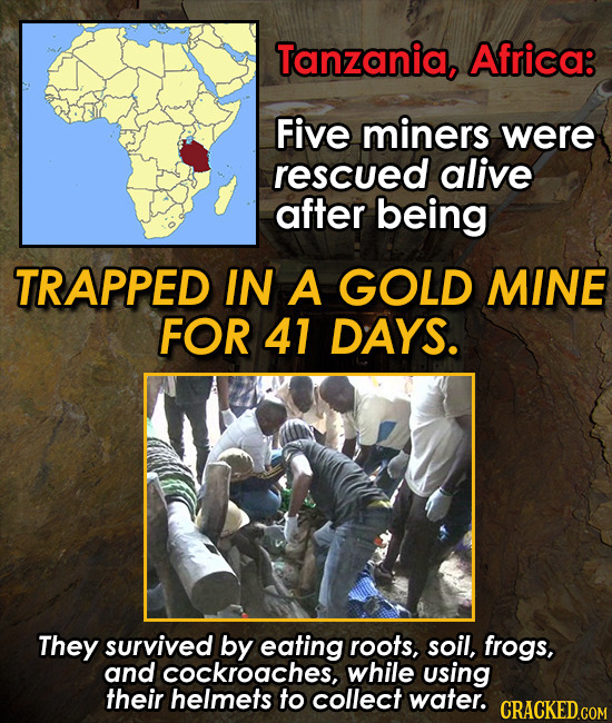 Tanzania, Africa: Five miners were rescued alive after being TRAPPED IN A GOLD MINE FOR 41 DAYS. They survived by eating roots, soil, frogs, and cockr