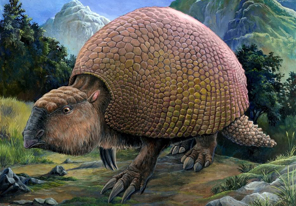 Glyptodon