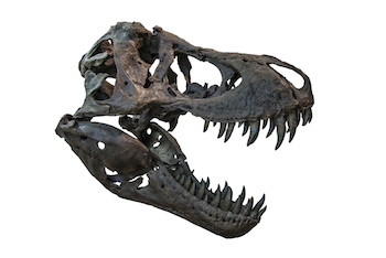 5 Famous People Who Lost Everything For Stupid Reasons Cracked Com 5 celebrities who've donated thousands (and even billions) of rands to charity.