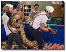 The 6 Most Badass Skills You Can Learn in Under a Week