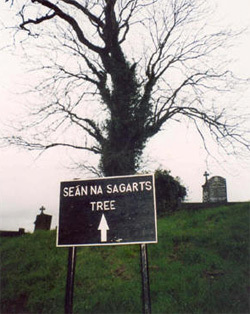 SEAN NA SAGARTS TREE