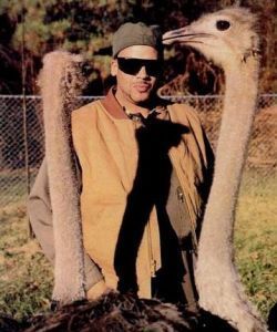 Terminator X with ostriches