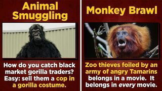 4 Shocking Aspects Of Zoo Animal Robberies Nobody Talks About