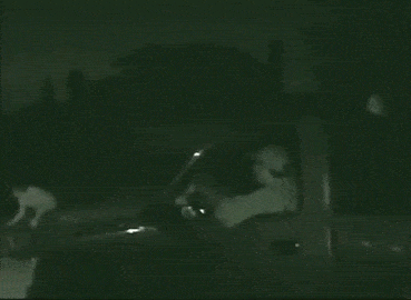 5 Hilariously Insane Attempts To Bring Video Games To Life