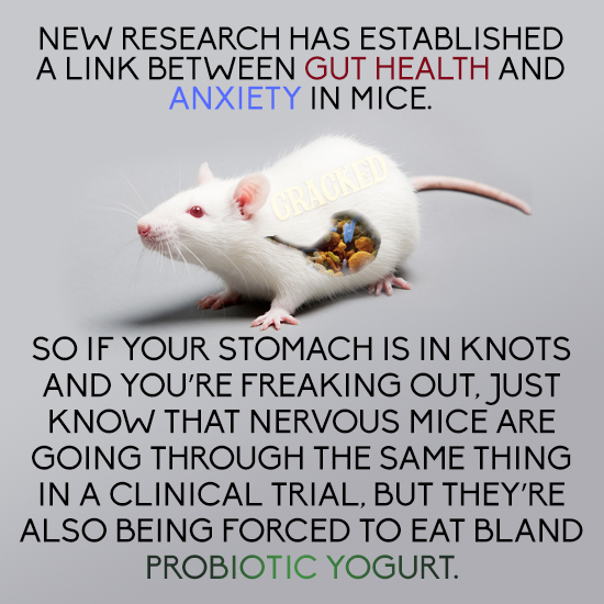 NEW RESEARCH HAS ESTABLISHED A LINK BETWEEN GUT HEALTH AND ANXIETY IN MICE. CRACKED SO IF YOUR STOMACH IS IN KNOTS AND YOU'RE FREAKING OUT, JUST KNOW 