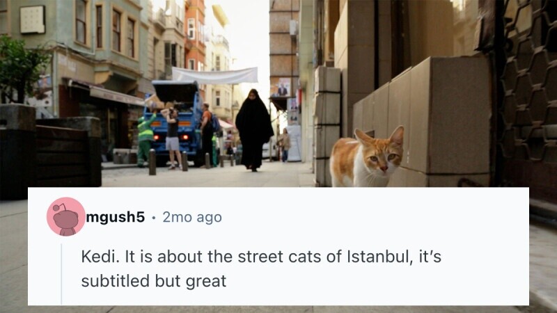 23 Documentaries That Are Both Feel Good And Good