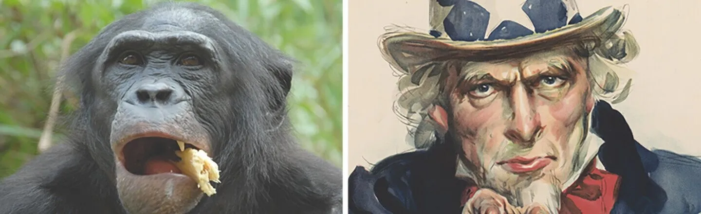 15 Incredible Bits of Knowledge That Made Us Go Ape This Week