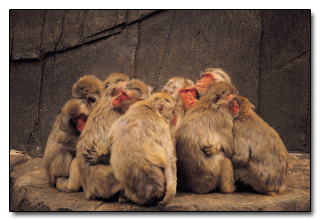 5 Logical Fallacies That Make You Wrong More Than You Think