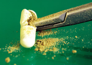 4 Hilarious Things I Learned About Orgies (By Going to One)