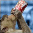 Cracked Round-Up: Prohibition Edition