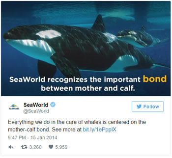 Seaworld recognizes the important bond between mother and calf. SeaWorld Follow @seaWorid Everything we do in the care of whales is centered on the mo