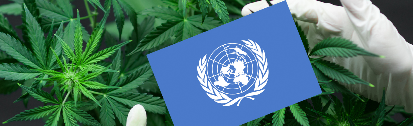 Weed Isn't That Bad, United Nations Rules