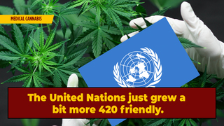 Weed Isn't That Bad, United Nations Rules 